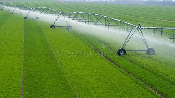 Progressive irrigation methods are the silent heroes of sustainable agriculture. They maximize water efficiency, contribute to soil health, and sustain crop diversity. The future is in harmonizing advanced tech with nature's wisdom. #SustainableIrrigation #WaterConservation