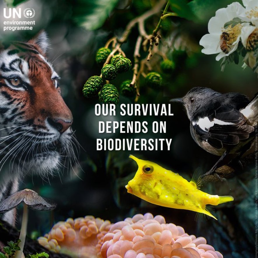 #BiodiversityDay2023 #BuildBackBiodiversity