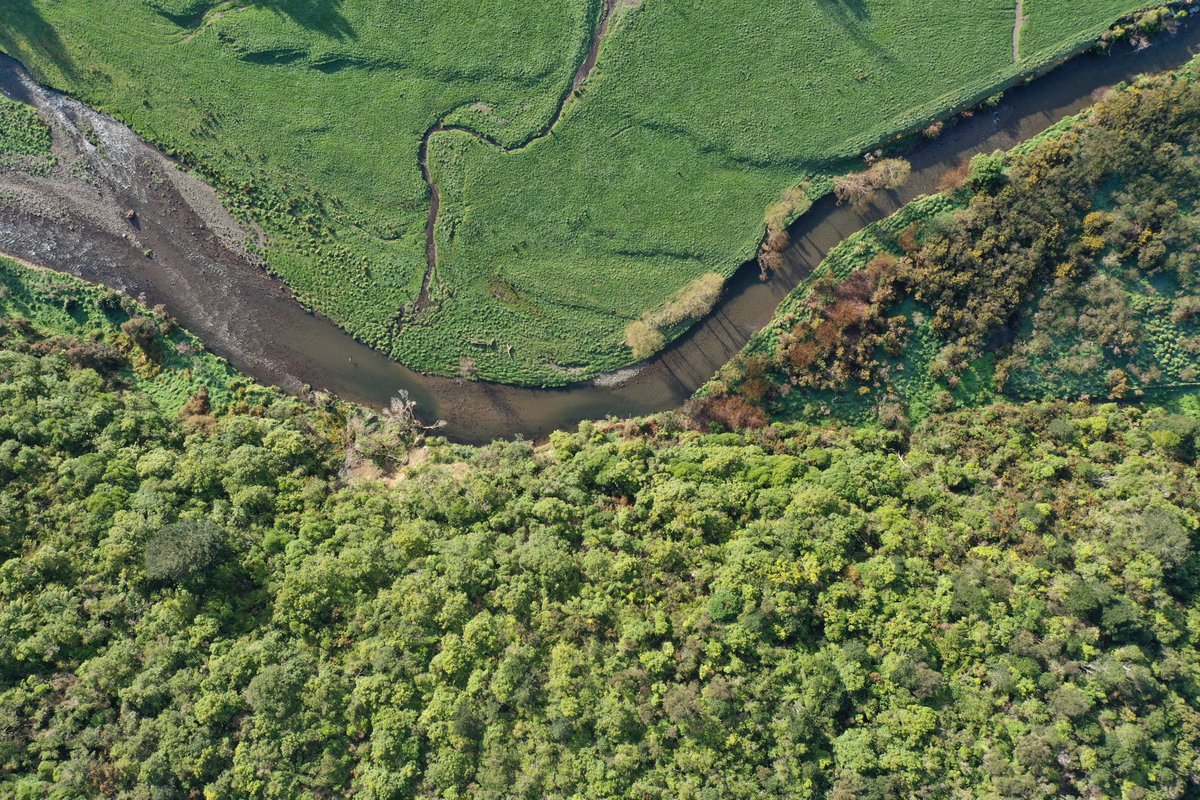 BiomeTrust's tweet photo. Very little nonprofit funding goes to environmental causes 🌳🌏 By most estimates it’s less than 4% of all grants. Biome Trust seeks to transform financial wealth into ecological wealth - growing forests &amp; community gardens over portfolios &amp; endowments.
https://t.co/sRWt80qADx https://t.co/SCRHGPDR8e