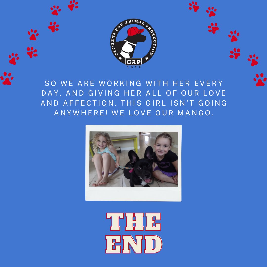 CAP4pets tweet media