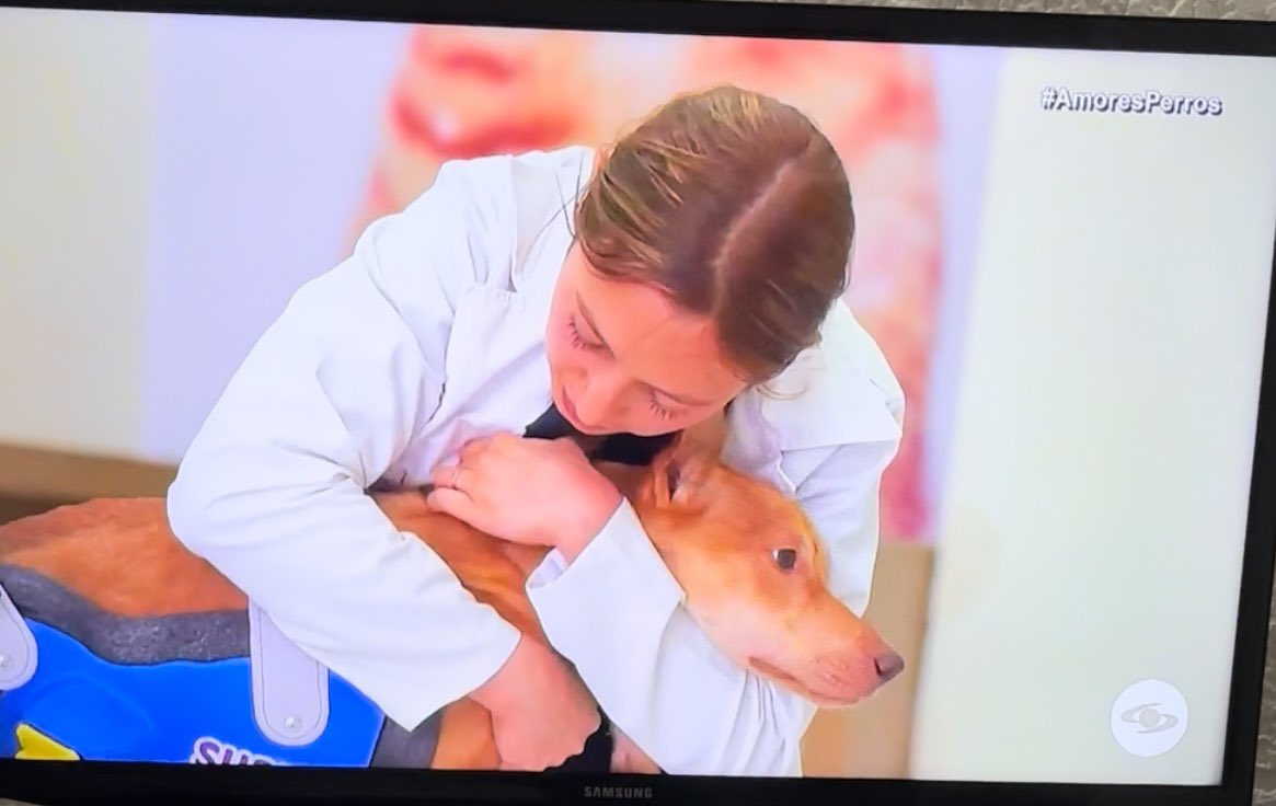 AsociacionMi's tweet photo. Cabe aclarar que la sillita de Clark nos costó $ 1.500.000 y fue gracias a las lindas personas que donaron, no fue gratis 💙💙💙💙 él aún le tiene muchísimo miedo porque se ha volcado 🥺🥺🥺 toca llevarla a garantía. https://t.co/3ur2nY1kT1
