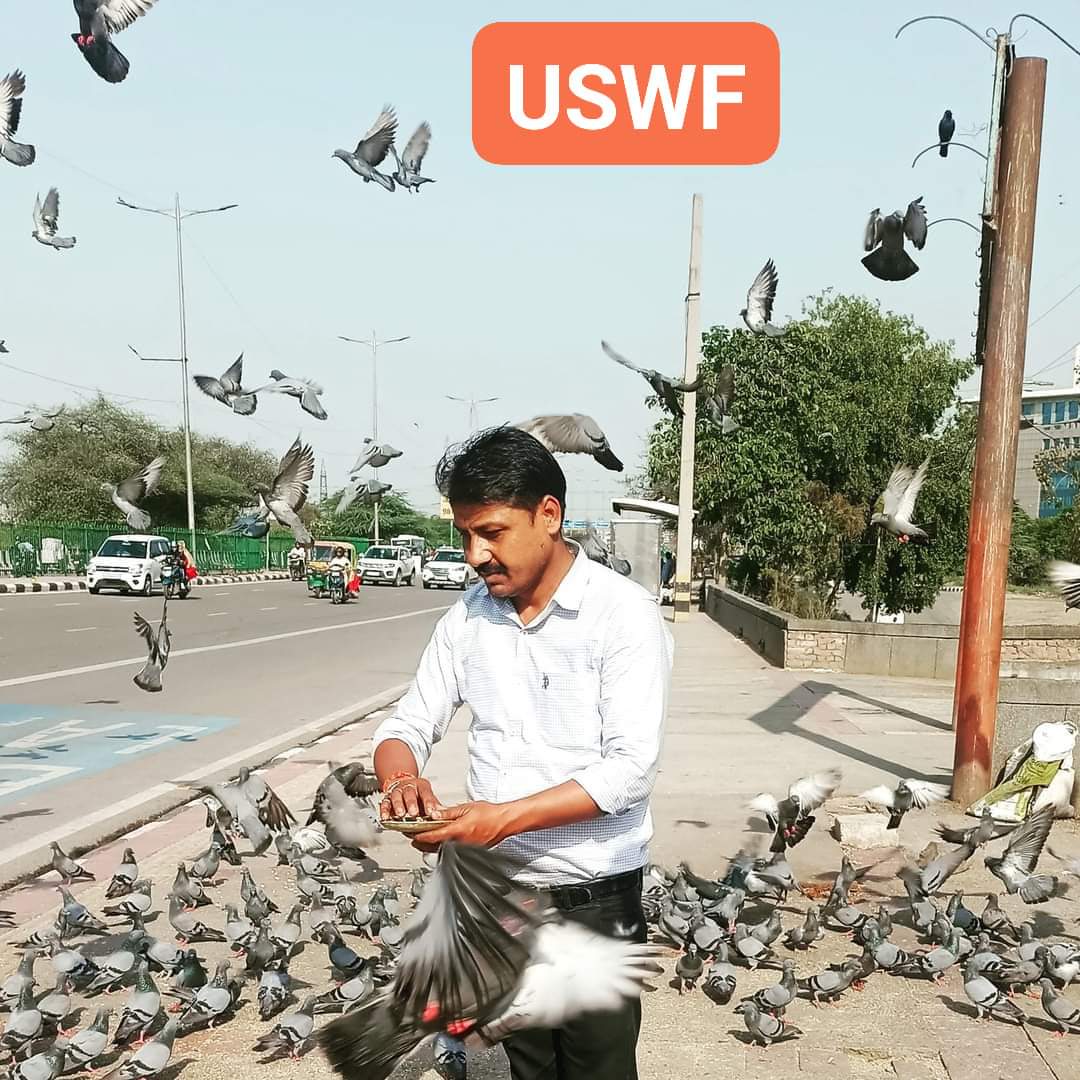 UswfNgo's tweet photo. जिसकी जैसी सोच वो वैसी कहानी रखता है
कोई परिंदों के लिए बंदूक तो कोई परिंदों के लिए पानी रखता है। #vikashgoyal #Delhi #उद्देश्य_एक_सेवा_वेलफेयर_फाउंडेशन #uddeshya_ek_seva_welfare_foundation #ngoagra #UWSF #agrango #UDDESHYA #donate #up #motivation #help
🙏सुप्रभात🙏 https://t.co/EMOcpReZun