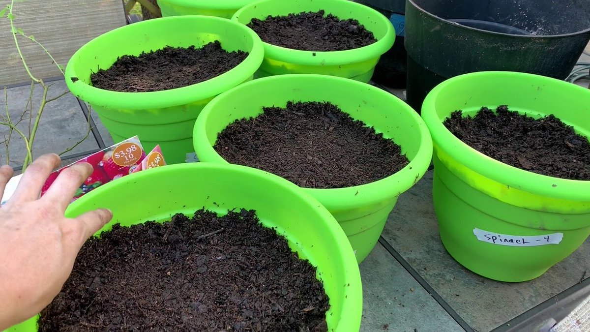 DiningCooking's tweet image. CONTAINER VEGETABLE ...
 
#CityPreparedness #CityPrepper #CityPrepping #ContainerGarden #ContainerGardening #HomesteadGarden #Homesteading #Preparedness #PreparednessMom #PreparednessWomen #PrepperContainerGarden #PrepperGarden #PrepperMom
 
diningandcooking.com/772168/contain…