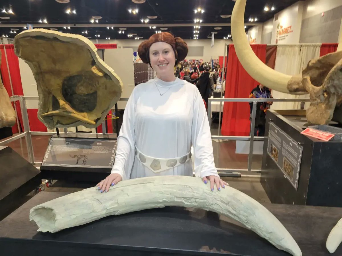PaleoPrepLeya's tweet photo. ComicCon Revolution! #ComicConRevolution #museum https://t.co/D8Hq4q45mu