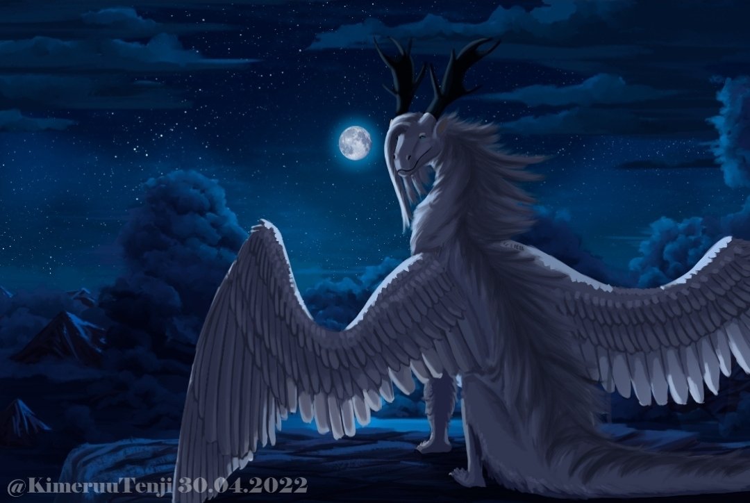 Kimeruu 🌊 tweet media