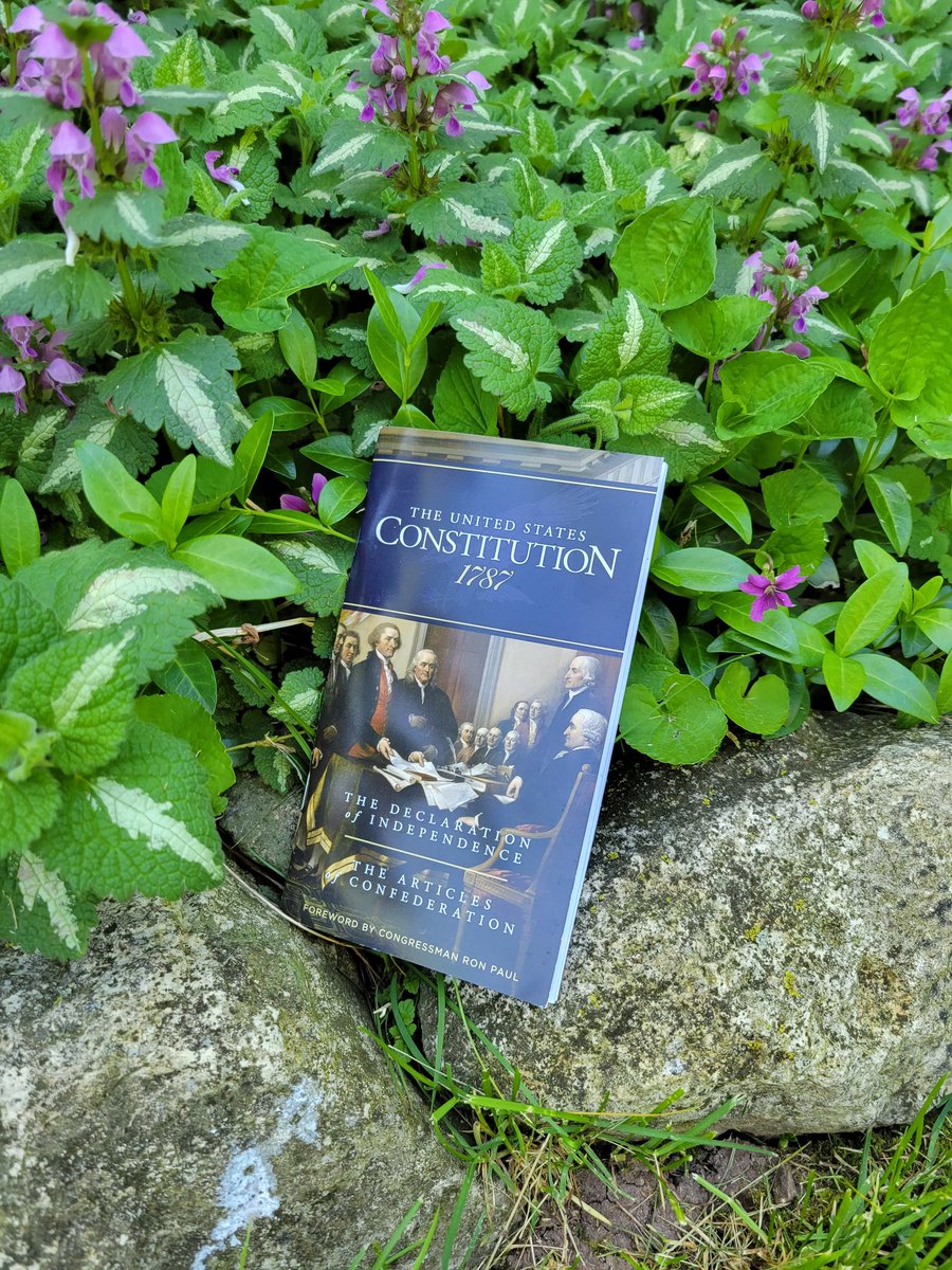 Found in our front yard yesterday in the aftermath of a pack of smart and adorable high schoolers filming a music video about the American Revolution based on "Baby Got Back."  (And it's seriously amazing!)