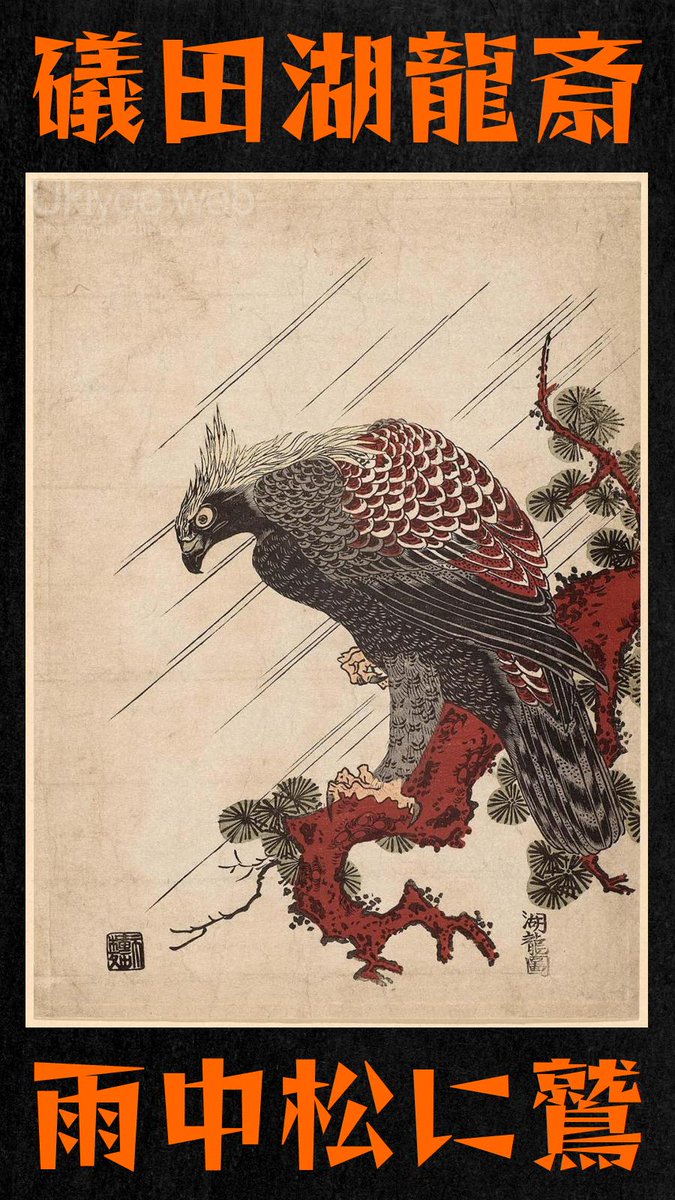 ukiyoeweb_es's tweet photo. Isoda Koryusai
 Águila en una rama de pino bajo la lluvia

Ukiyoe web Arte japonés antiguo grabado en madera grabados pinturas artistas de Japón Museo online de ukiyoe

https://t.co/5ha6HU00eX https://t.co/oUNIvJT1NR