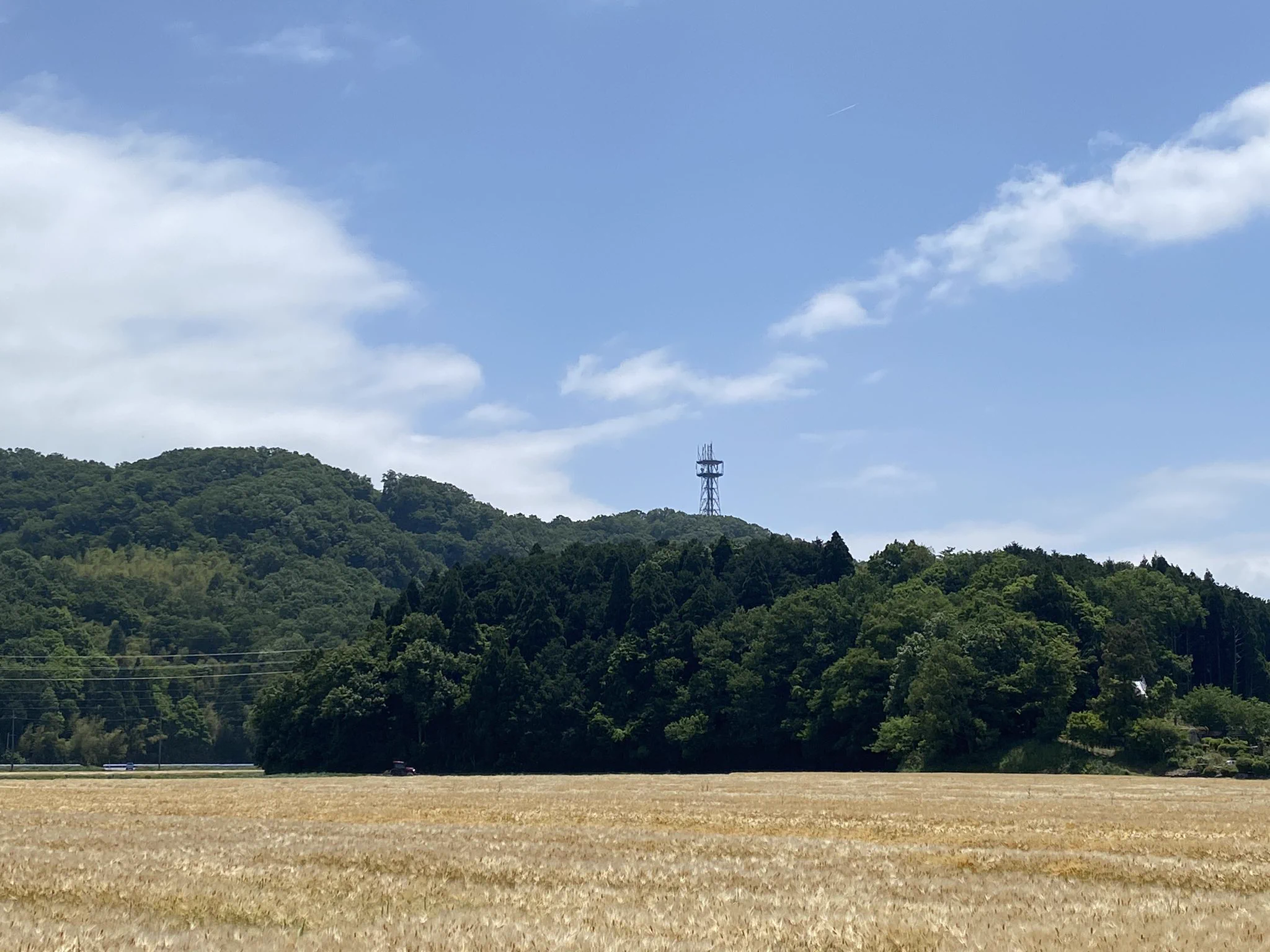 @kissshot51 私は塔があるとその山に登りたくなります。 