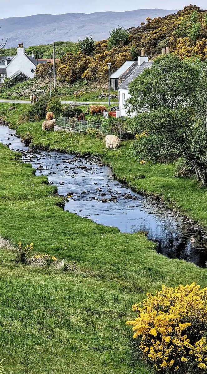 Bonnie wee crofting village of Duirinish in the West Highlands where the cattle roam freely by the burn
via Owen McMahon