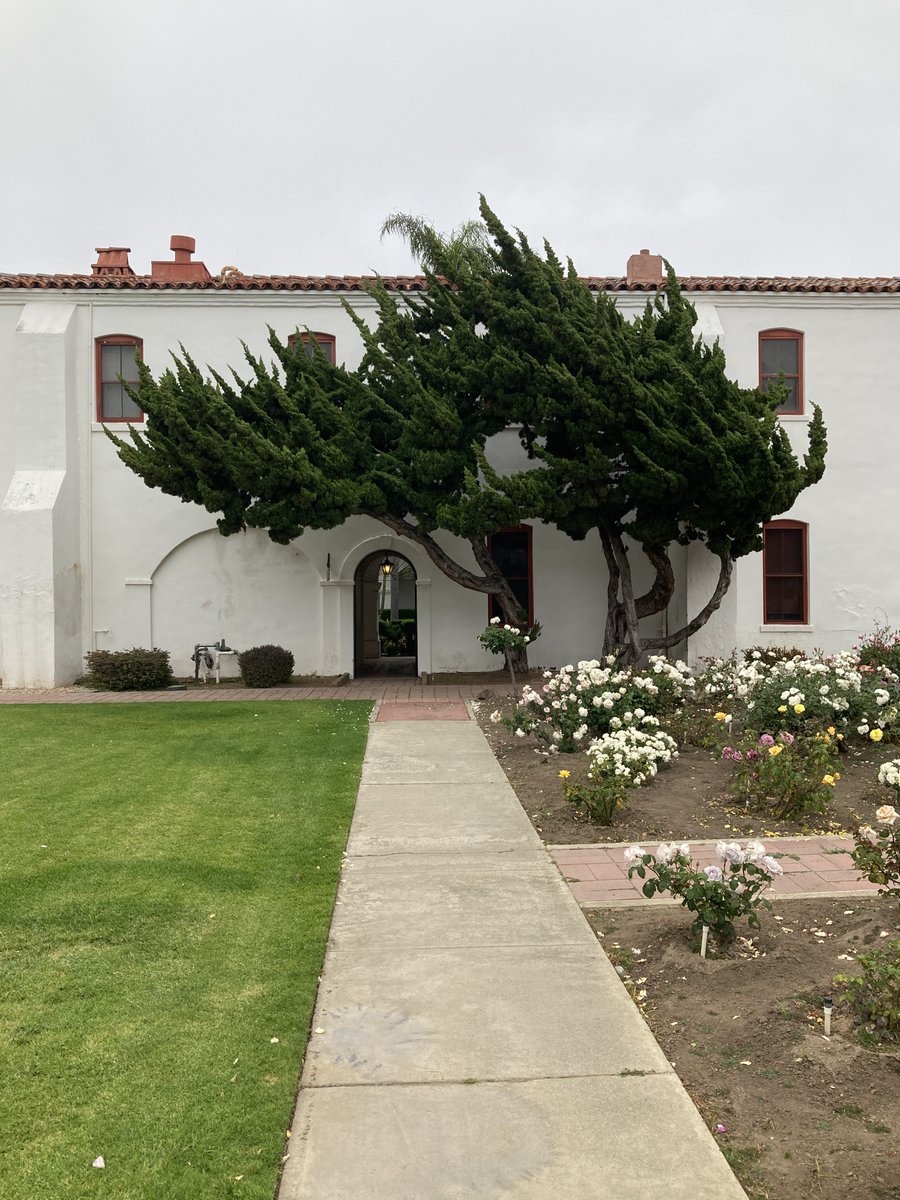 Robbie Maakestad tweet media