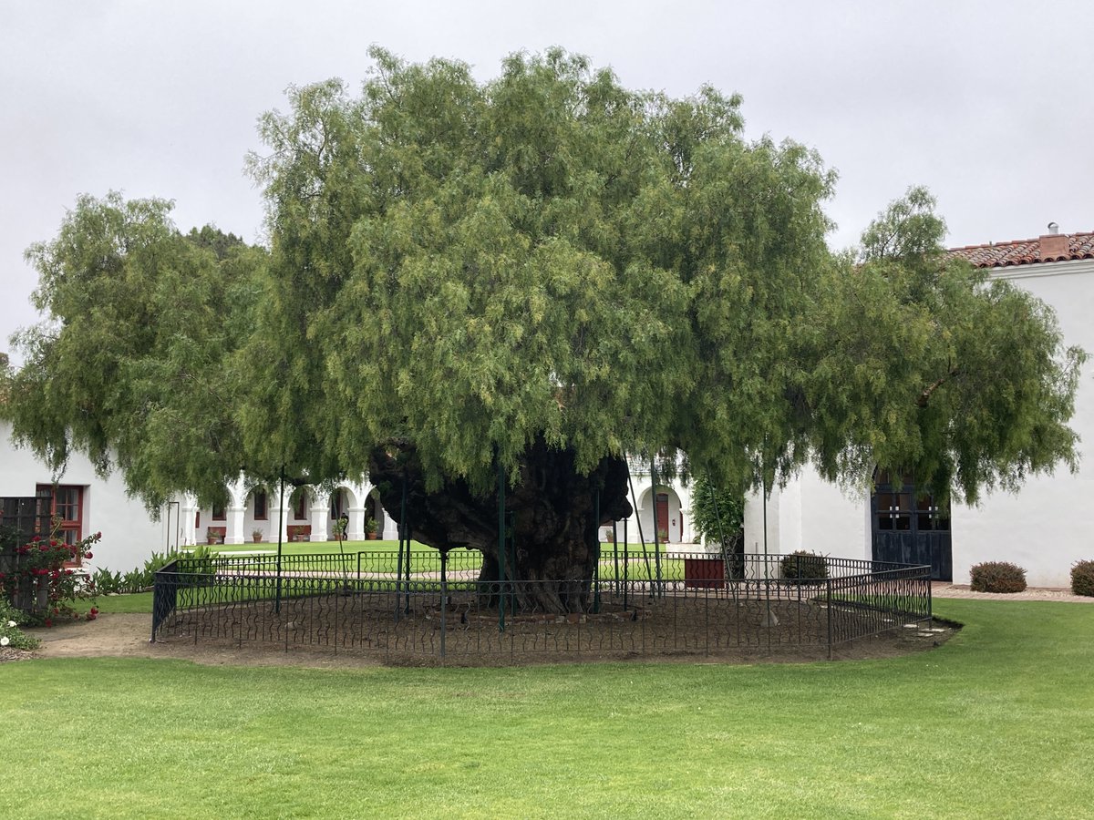 Robbie Maakestad tweet media