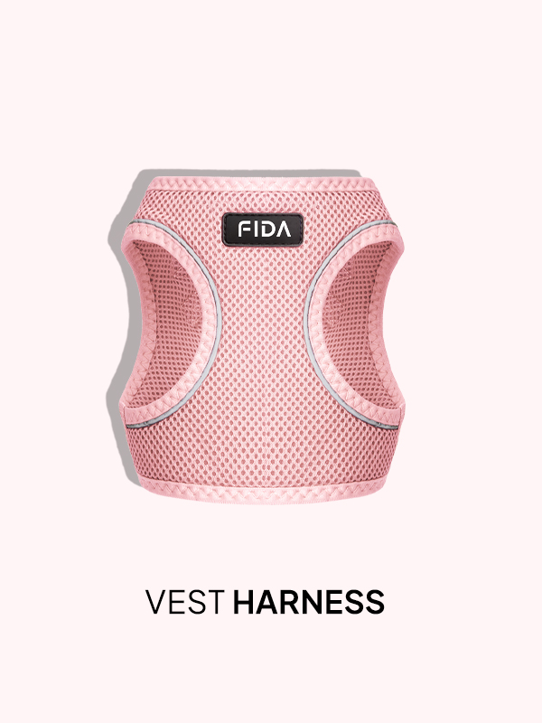 Fidapetus's tweet photo. Fida Step-in Air Mesh Pet Harness is made with soft and breathable air mesh, superior comfort, lightweight, and quick-dry. Three layers of mesh are thicker and tougher.
✅Amazon: fida or https://t.co/mjPbRjqqIx
#FIDA #leash #catharness #harness #dogharness #catlover #doglover https://t.co/WHhWHTssrS