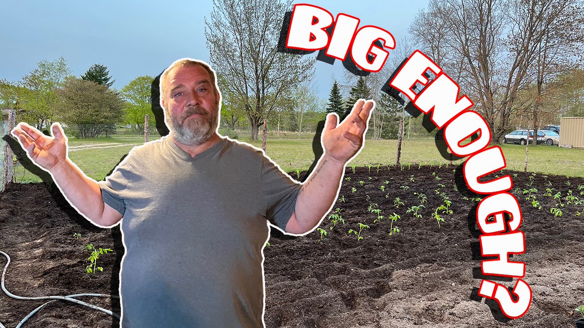 Our new vlog is up on YouTube!  Is The Garden Big Enough For Everything? 🌱 Plus much more!  Go here to watch! youtu.be/kHhZSJPnmeY

#wiltoninreallife #vlogs #garden #gardening #michigan #northernmichigan #puremichigan #growingyourownfood #growingyourownvegetables #vegetables
