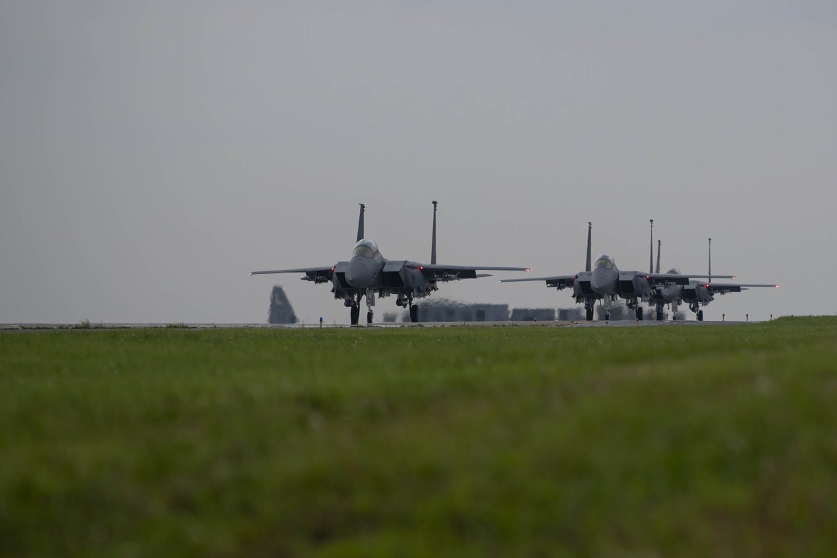 米空軍 第391戦闘中隊および第336戦闘中隊に所属する #F15E ストライク