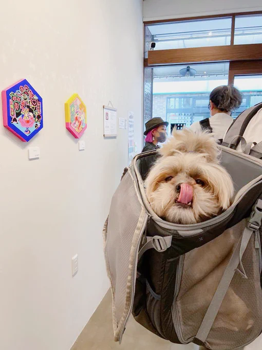 昨日、高円寺で中村杏子さん( )とスージー甘金さん( )の展示を観た。  どちらの展示もとても刺激になる内容で観られてよかった〜。中村さんが撮ってくれた犬の写真も最高ー!