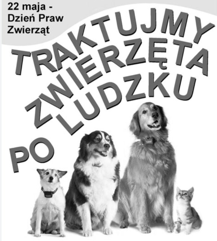 Na Zawsze Ponosisz Odpowiedzialność Za To Co Oswoiłeś Mila on Twitter: "22.05 Dzień Praw Zwierząt "Na zawsze ponosisz