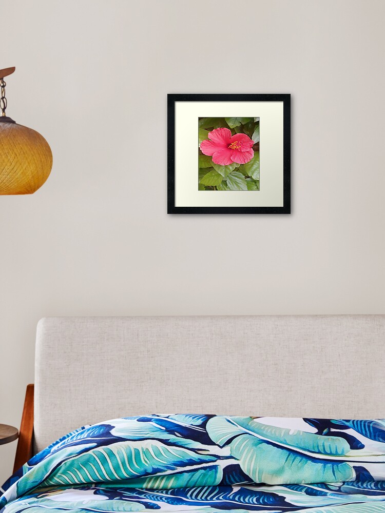 Exited To Share ⚘️🌺 Framed Art Print From my #Redbubble shop 😍 ✨️ 💕 #Flowers #art #green #rose #red flower #open your Heart ❤️ #nature #gifts #redbubble art rdbl.co/41AUZRt Framed Art Print