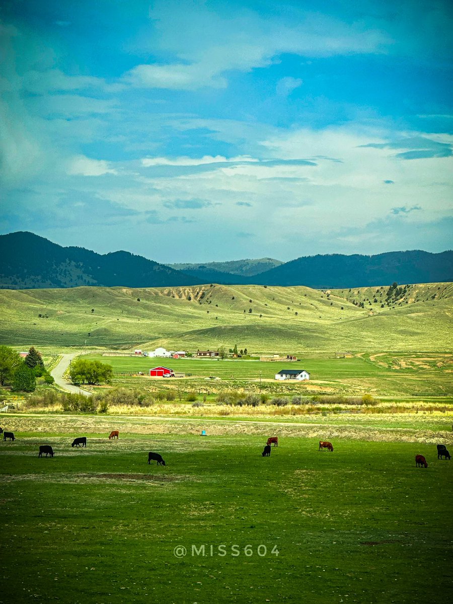 🚗📍 Just outside Butte, Montana  @visitmontana 
#BollwittsAcrossAmerica