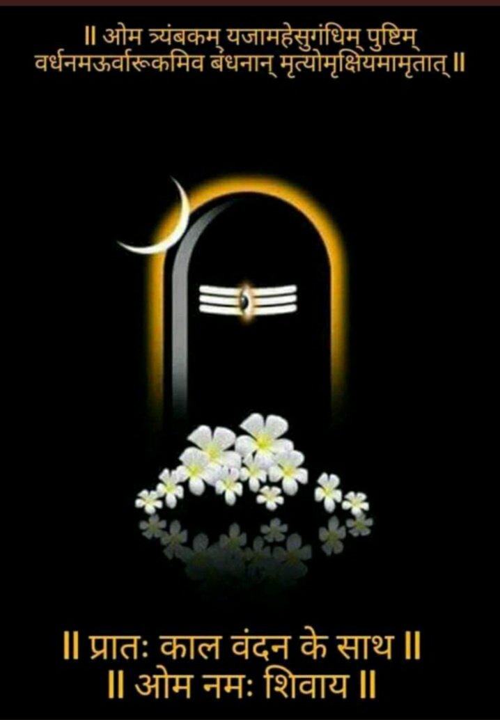 ॐ त्र्यम्बकं यजामहे सुगन्धिं पुष्टिवर्धनम् |
उर्वारुकमिव बन्धनान्मृत्योर्मुक्षीय माऽमृतात्||
                 
मन छोड़ व्यर्थ की चिंता
तू शिव का नाम लिये जा
शिव अपना काम करेंगे
तू अपना काम किए जा
ऊँ: नम: शिवाय.🚩                                 
आपका दिन शुभ एवं मंगलमय हो🙏