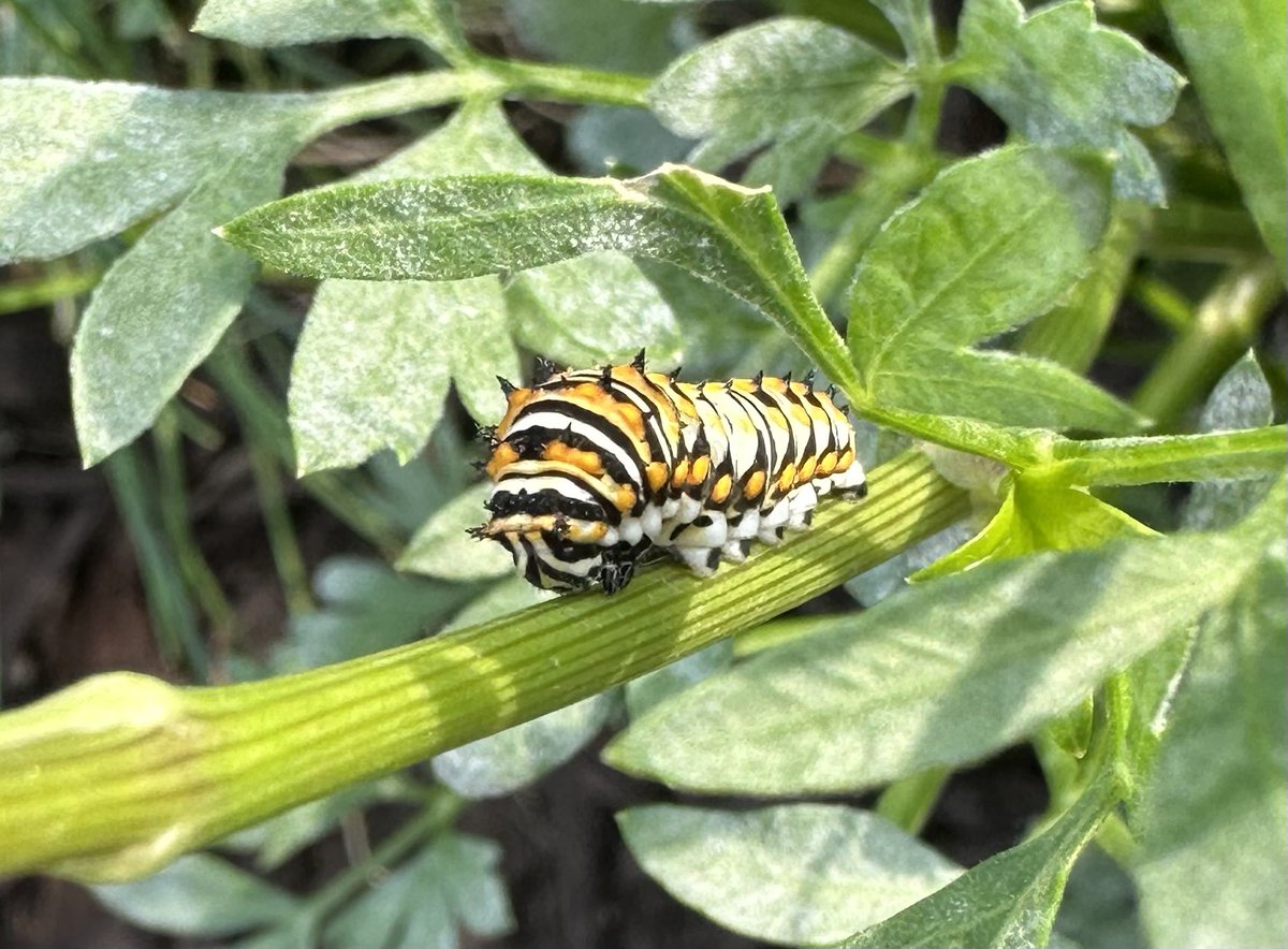 Matt Stalley tweet media