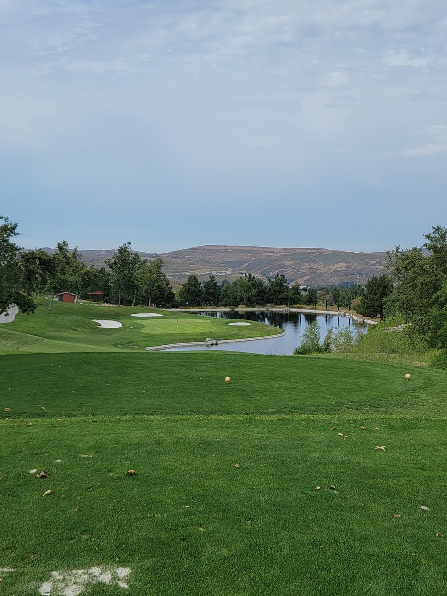 Get out and touch grass #PlayGolf