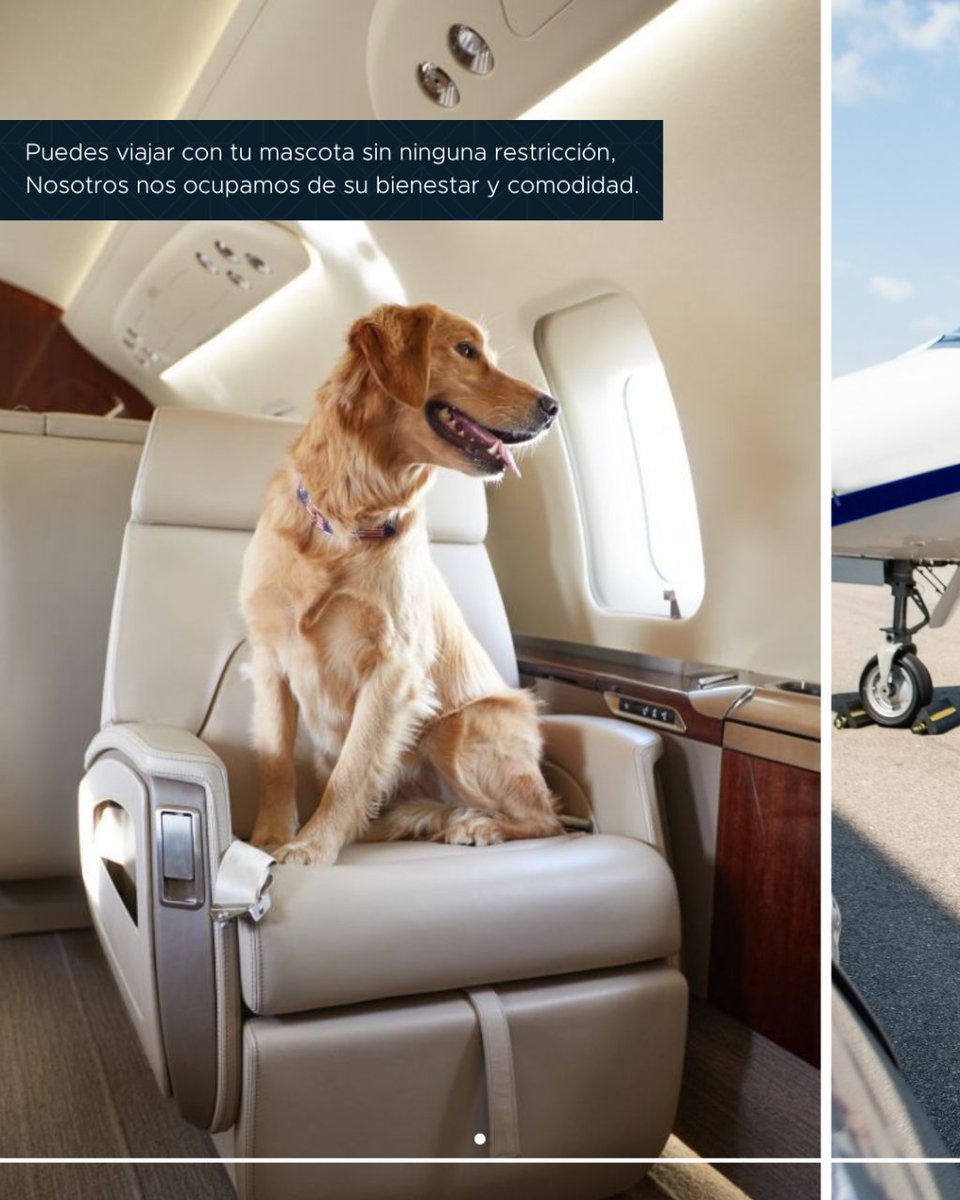 2GroupUS's tweet image. ¿Por qué contratar un vuelo PRIVADO?
⏰Administras tu tiempo.
🐶 Puedes viajar con tu mascota sin ninguna restricción.
🏝️ Puedes volar a ciudades o zonas donde no existen conexiones de vuelos comerciales.

#jetprive #vuelosprivados #jet #exclusive #airplane #jetlife