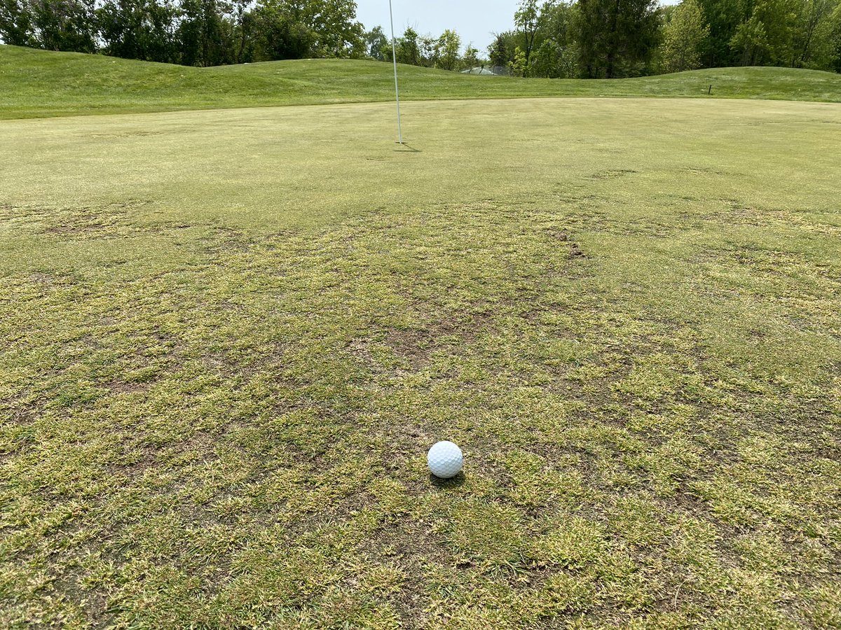 I want to thank <a href="/ClubProGuy/">Club Pro Guy</a> for letting me use my Groupon today! <a href="/MiguelVegaTurf/">Miguel Vega</a> has the greens rolling PURE! It is establishments like this that make this game so great!