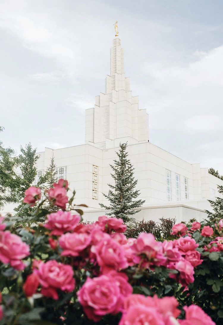 PeaceJoyHappy_'s tweet photo. ✨I Love To SeeThe Temple✨
Photo: BrittneyGurrTemples

#familiescanbetogetherforever #ldstemples  #peace #heaven #godsplan #jesuschrist #lighttheworld #ilovetoseethtemple #peacefulplaces #thechurchofjesuschristoflatterdaysaints #instagramdown https://t.co/gtAanJuo4o
