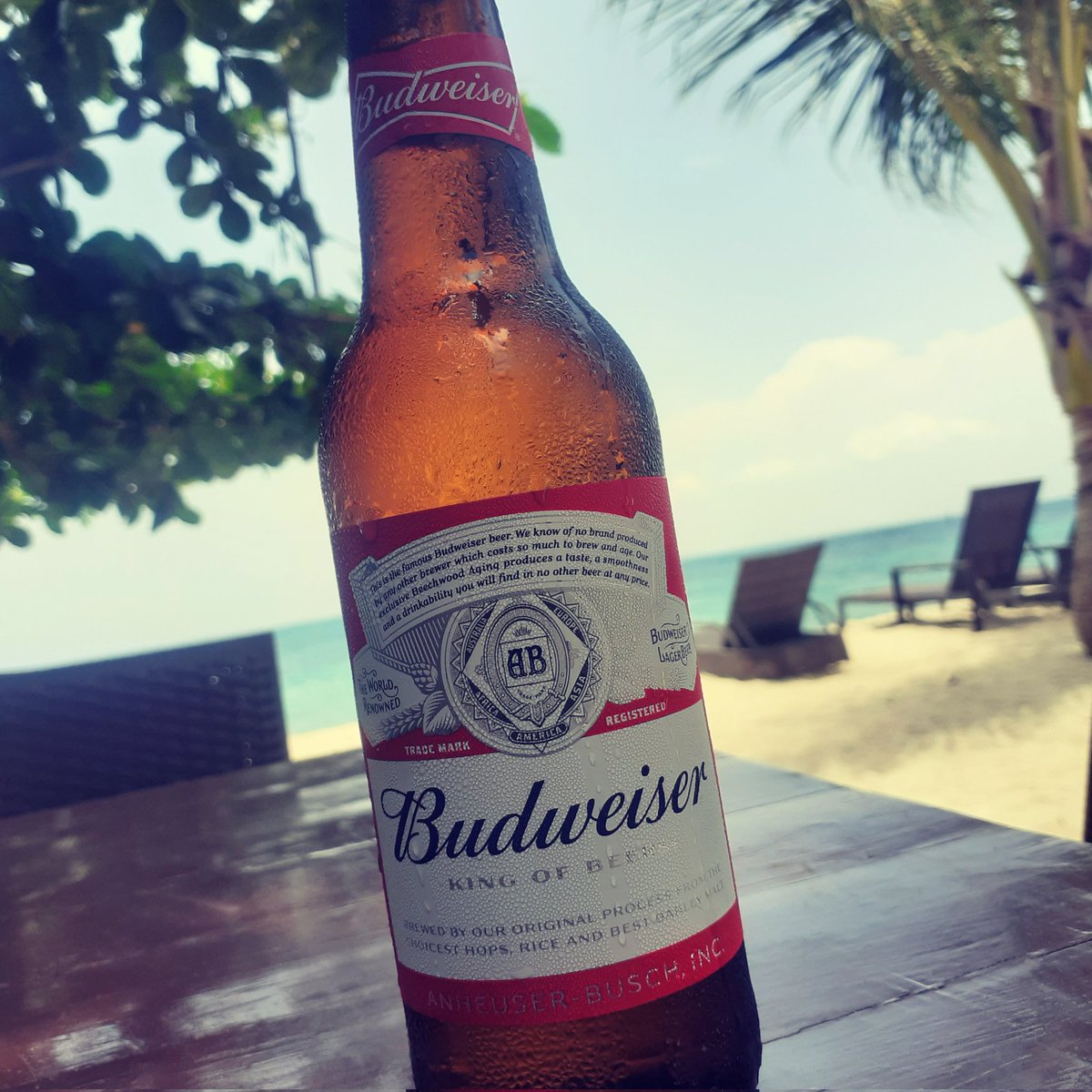 Bud by the sea. Need I say more?

#beverage #drinks #beerculture #beerlover #beer #beerstagram #beer🍺 #beerphotography #beerph 

#cominghome #islandlife #vacation #summerbreak #travel #travelpost