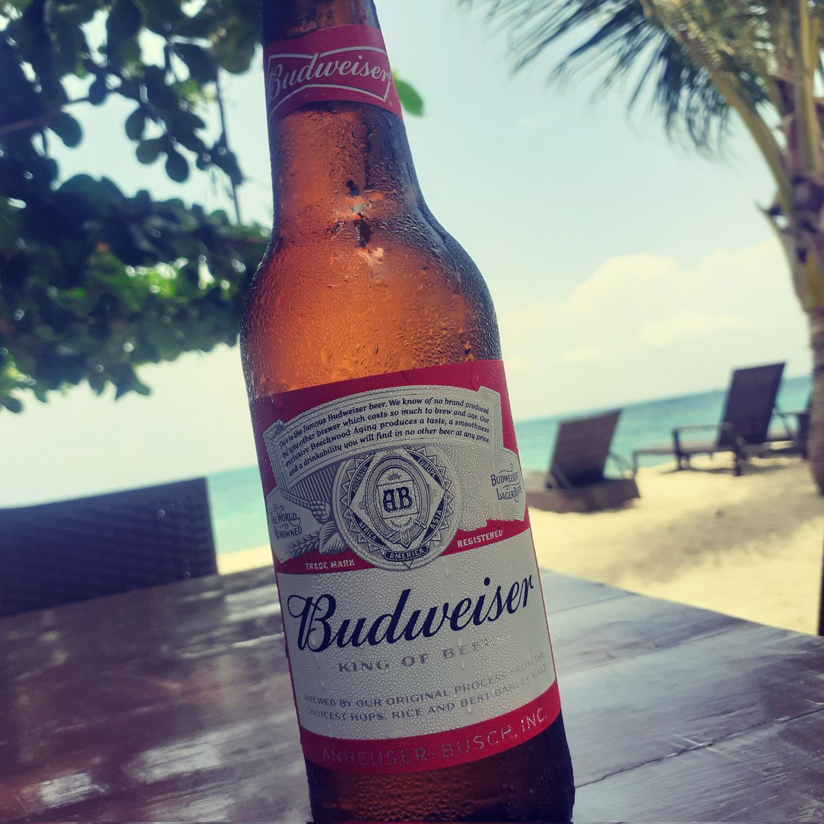 HankIanRosales's tweet photo. Bud by the sea. Need I say more?

#beverage #drinks #beerculture #beerlover #beer #beerstagram #beer🍺 #beerphotography #beerph 

#cominghome #islandlife #vacation #summerbreak #travel #travelpost https://t.co/2Cv4HTed2x
