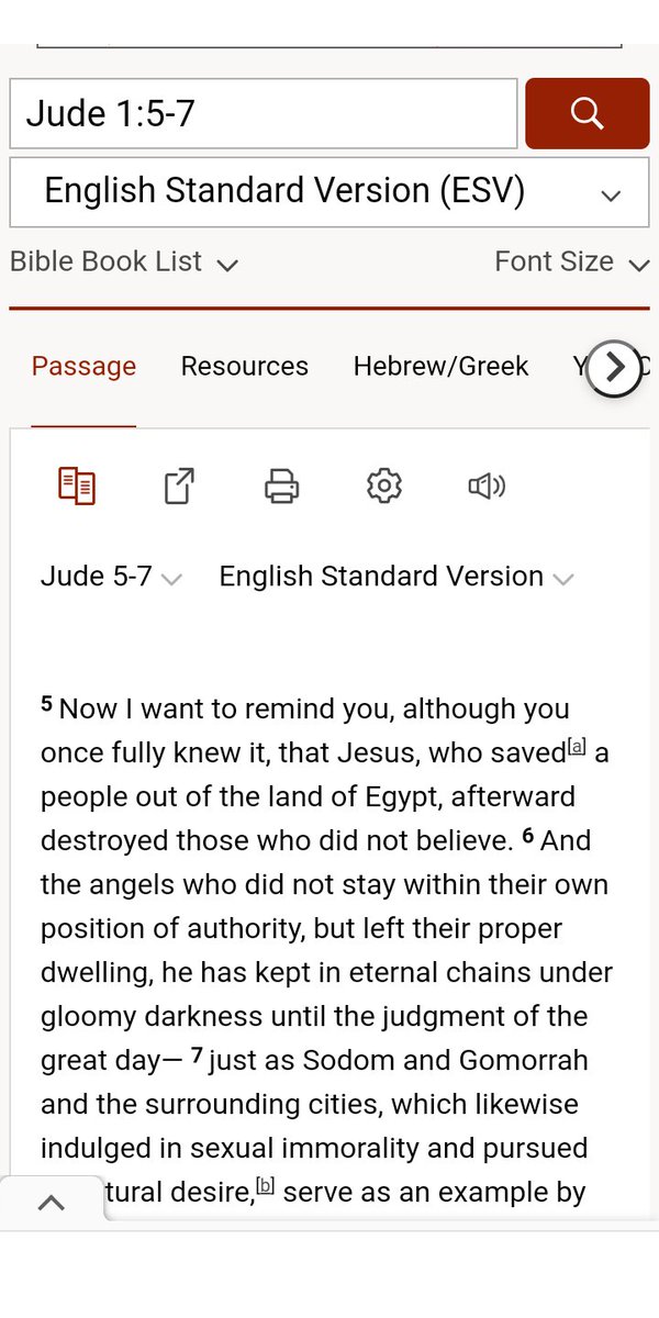 biblegateway.com/passage/?searc…

Hell...

For Sodom and for Gomorra, it was swift punishment by eternal fire...

For angels falling from God's graces, they are chained in darkness until the second coming...

Until the time of judgment...

So it is written in the Book of Jude...