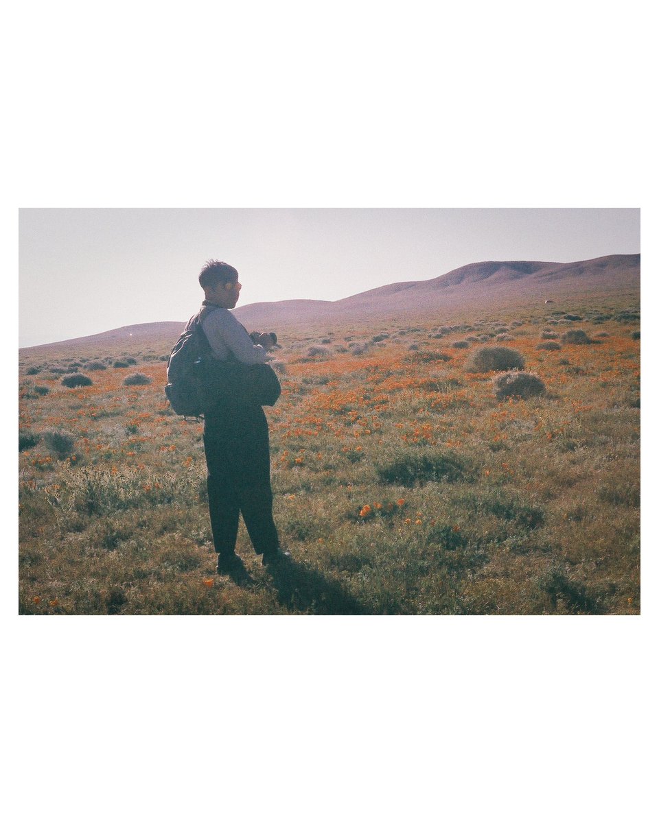 LacklusterJoe_'s tweet photo. Poppy reserve on film
#filmphotography #film #fujifilm #fujipro
#photograghy #pentax #sundayvibes https://t.co/lXRoJzIVM1