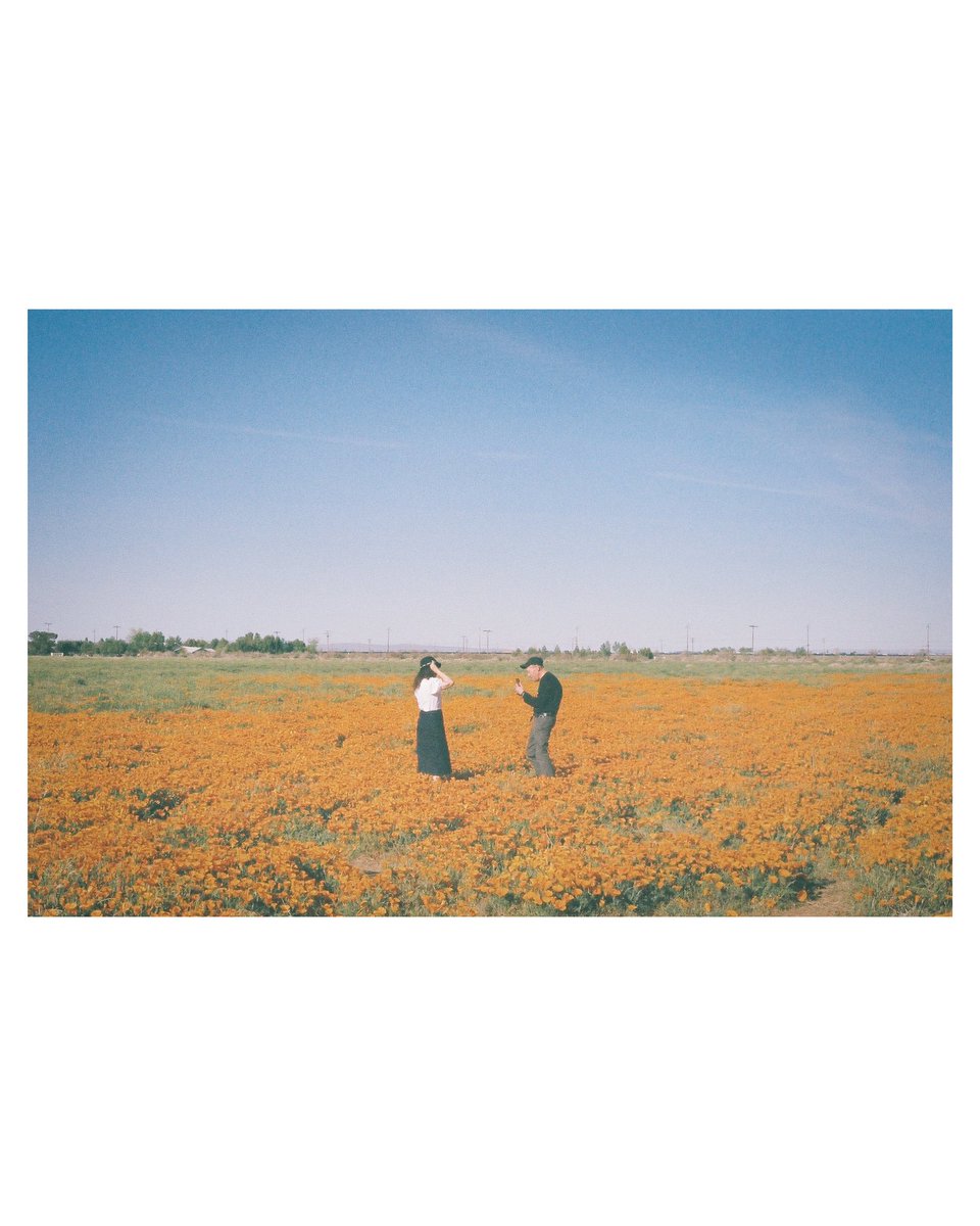 LacklusterJoe_'s tweet photo. Poppy reserve on film
#filmphotography #film #fujifilm #fujipro
#photograghy #pentax #sundayvibes https://t.co/lXRoJzIVM1
