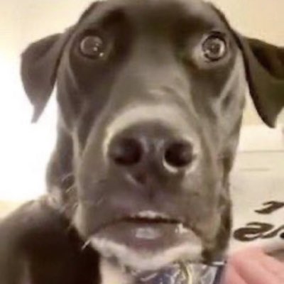 lolIDIOTHAHA's tweet photo. #NewProfilePic https://t.co/61wdWKEDAs