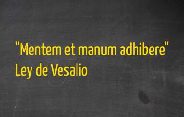 IvnALpez tweet picture