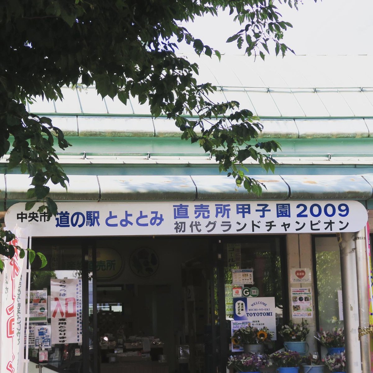 Chan1003Sayo's tweet photo. この日は山梨までドライブ🚙💨
目的地の近くに道の駅を発見💡し、ちょうどゴールドラッシュという品種のとうもろこし🌽が出始めのようで、私も早速購入✨
他のお野菜もお安くなってました🎵
もちろんお土産類もありましたよ👍

#道の駅 #道の駅とよとみ #とうもろこし #ゴールドラッシュ https://t.co/HZ8bJNQdKV