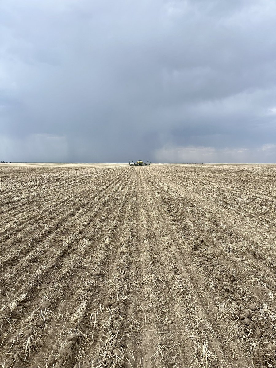 Wrapping up #Plant23 with Pelta seed pelleting technology. Thanks to <a href="/doublecag/">Double C Agco Ltd</a> for the custom planting work. Look for this canola trial on the 2023 <a href="/coreag_warner/">Core Ag Inputs- Warner Ltd</a> poker run.