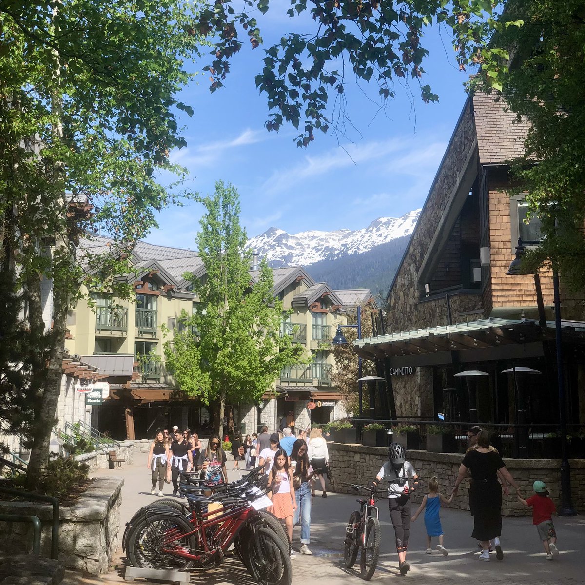 Sean Keating (@seankeato) on Twitter photo What an amazing week attending #KSNeurodegen23 in beautiful Whistler: met many great scientists, left unscathed from threatening bears & learned lots about exciting new techniques and discoveries guiding future therapies! ๐ง <a href="/KeystoneSymp/">Keystone Symposia</a> ๐ป ๐ ๐๏ธ What an amazing week attending #KSNeurodegen23 in beautiful Whistler: met many great scientists, left unscathed from threatening bears & learned lots about exciting new techniques and discoveries guiding future therapies! ๐ง <a href="/KeystoneSymp/">Keystone Symposia</a> ๐ป ๐ ๐๏ธ