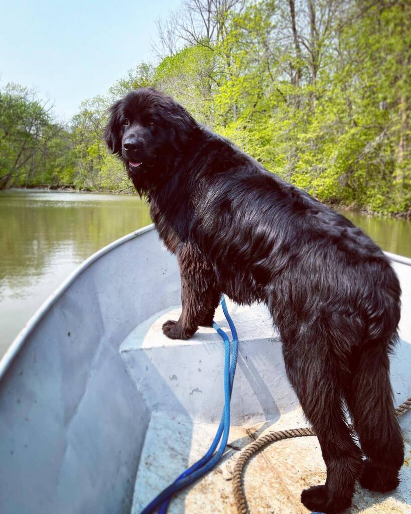 First crick cruise of the year!!! ☀️💛☀️ #sounderthealarm #crickcruise #riverlife