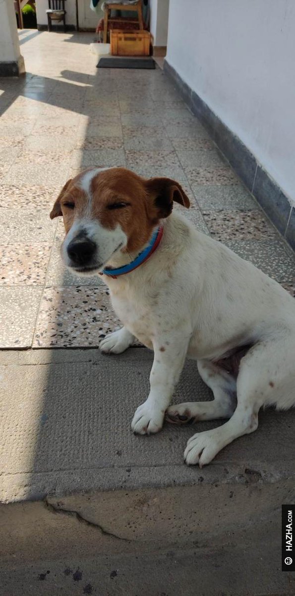 sup yo
hazha.com/yay/n44