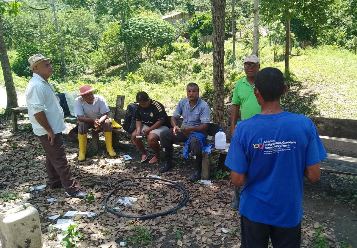 Agricultura_CZ1's tweet photo. #Esmeraldas l Con el objetivo que pequeños productores de Sacha Inchi, mejoren su rentabilidad económica, técnicos del proyecto PIATER, brindan  capacitación en comercialización asociativa, trabajo ejecutado en la parroquia Camarones cantón #Esmeraldas.
#TrabajamosPorElCampo https://t.co/1TJ2iOXA6N