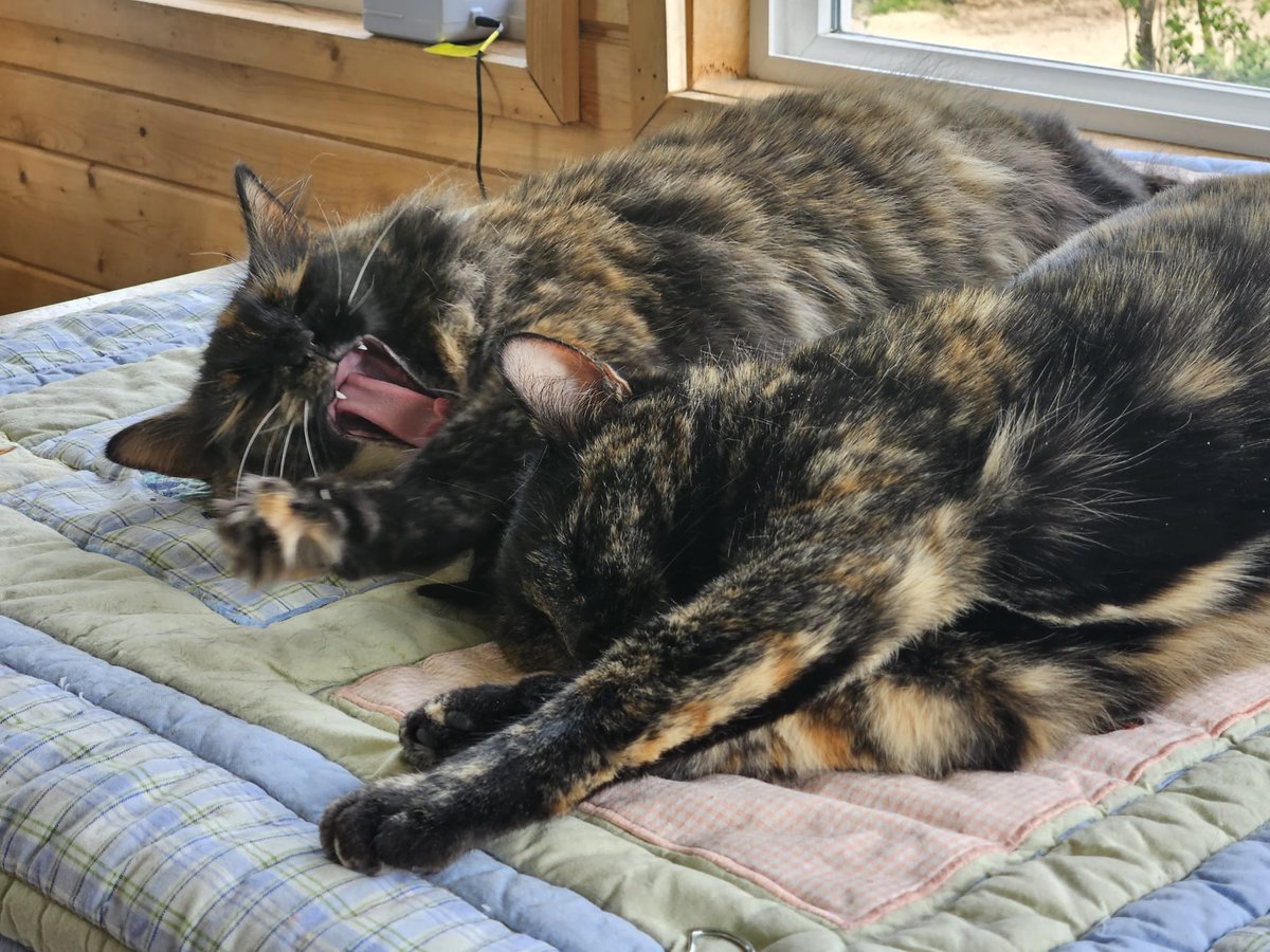 srjonesMN's tweet photo. Then one derps the photo.... https://t.co/0vBNoWijq4
