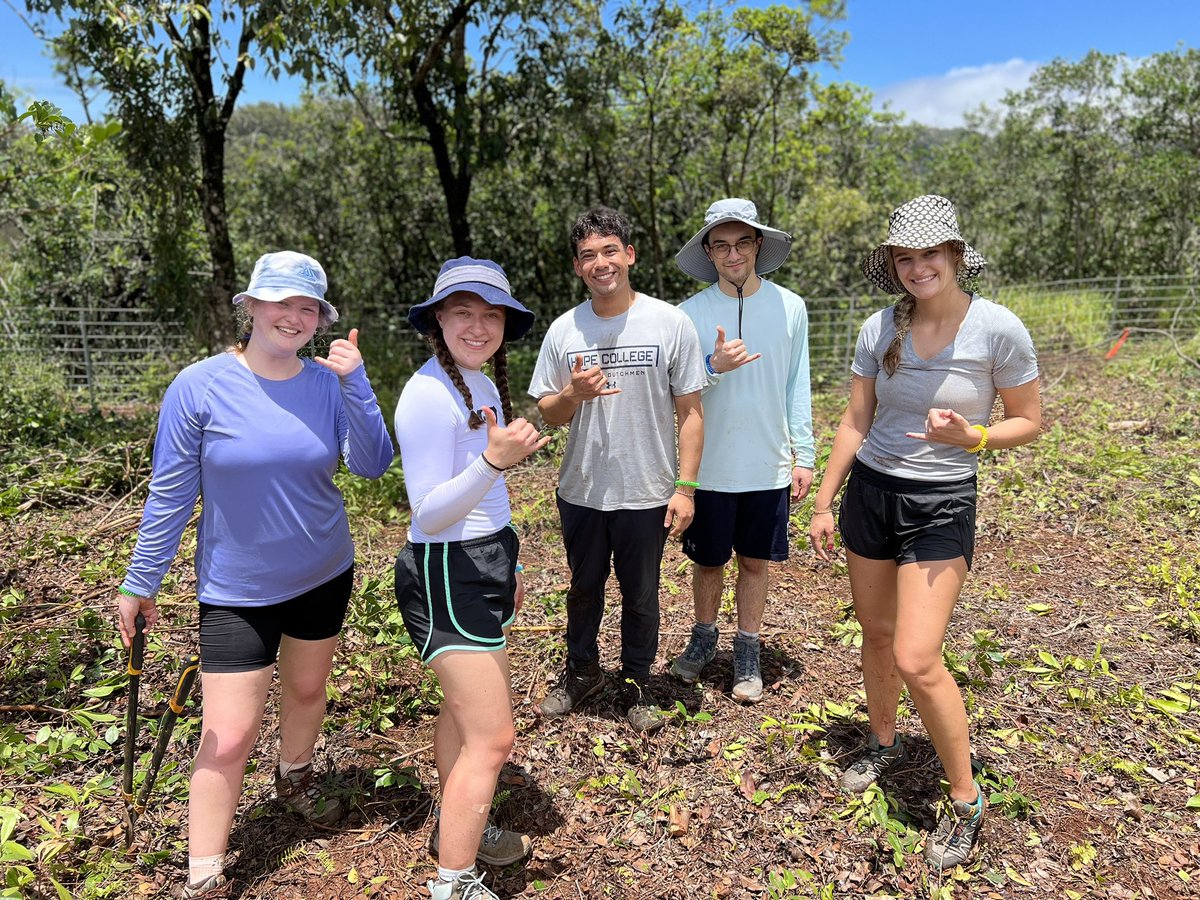 jaysondibble's tweet photo. @HopeCollege #AlohaMayTerm gang spent Saturday volunteering @ @WaimeaValley clearing invasive plants to make room for native species & learning about *malama* (to care for). Mahalo to #WaimeaValley for the bonus rewardβa dip at the #waterfall! ππ€π½π @Hopeoffcampus #Hawaii https://t.co/1J8P65IcuA
