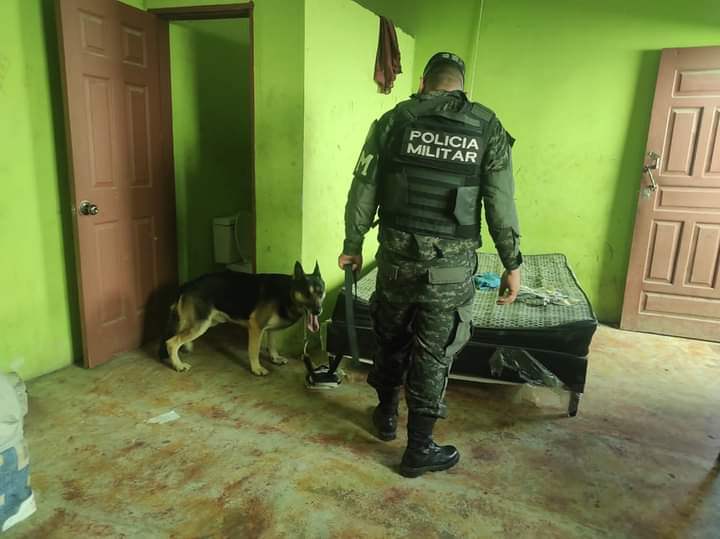 TVMASSB1's tweet photo. FUERZAS ARMADAS DE HONDURAS 🇭🇳
La Fuerza de Tarea Conjunta Xatruch, en apoyo a la Dirección de Lucha Contra el Narcotráfico, realizó un allanamiento en el Barrio La Pava, Saba, Colón, requiriendo en el lugar a cuatro ciudadanos, por suponerlos responsables del delito de tráfico. https://t.co/OaSV5QdZNp