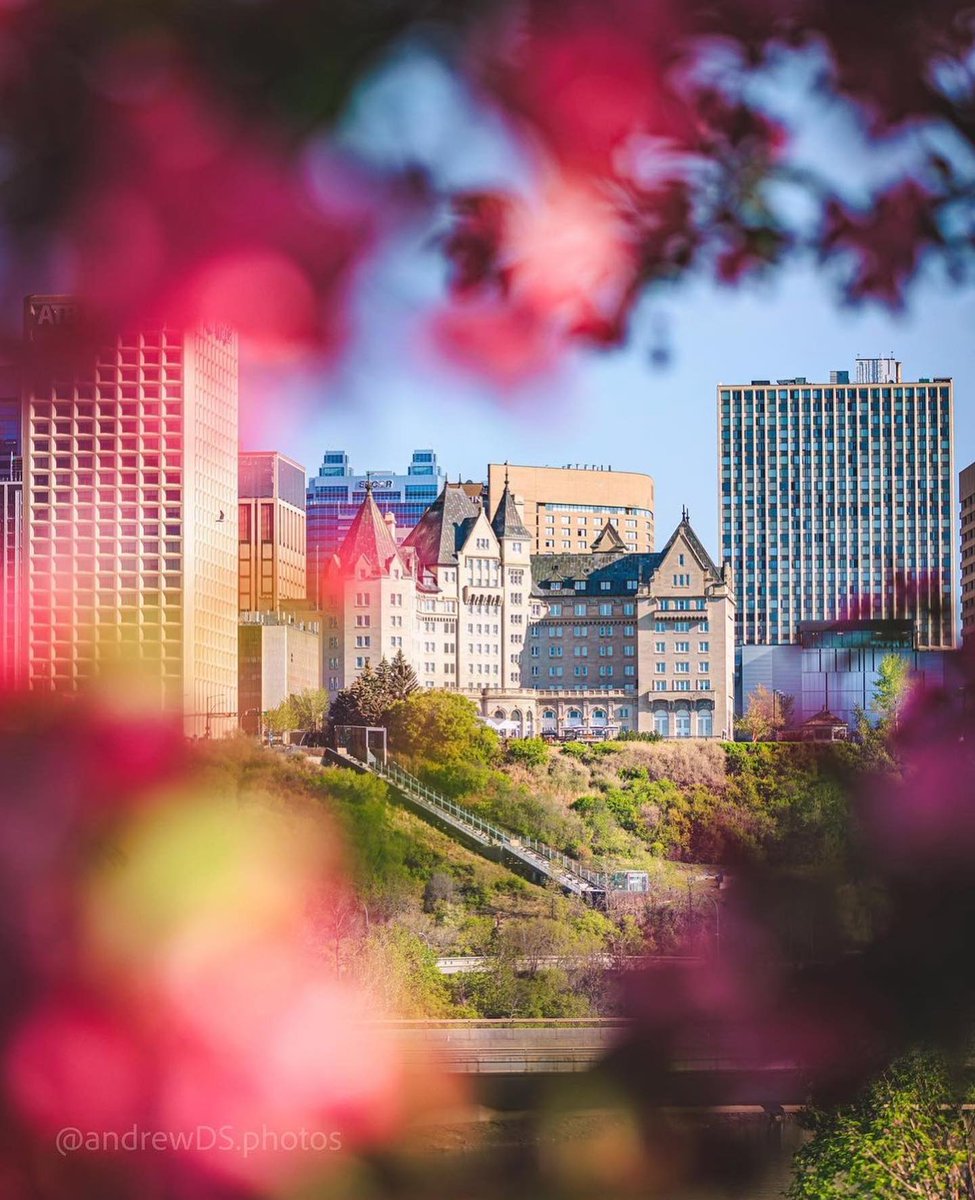 Leah on Twitter "RT ExploreEdmonton Blossoming wonders unfold as