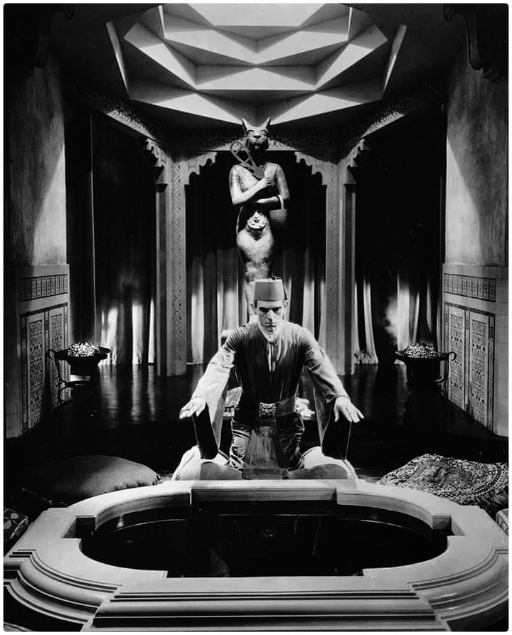 HorrorHammer1's tweet photo. TheMummy 1932 https://t.co/DqqbBliMm6