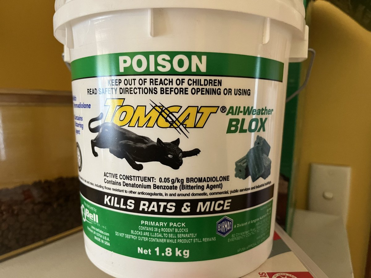 Dylan Hirsch tweet media