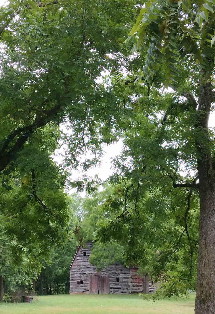 New town every hour on Twitter "Belle, Missouri Population 1,479