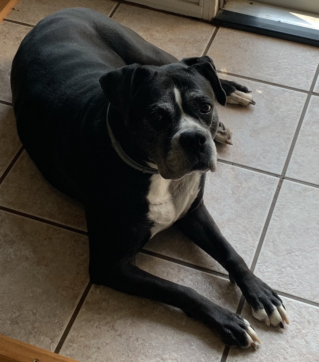 chuck parker tweet media