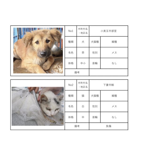 茨城県動物指導センターで保護している、迷子の犬猫の公表情報です。🐕🐈
お心当たりの飼い主様は動物指導センターにお電話ください‼️
動物指導センター
☎︎0296-72-1200(受付時間：平日8:30〜17:15)

5月19日(金) 公表情報